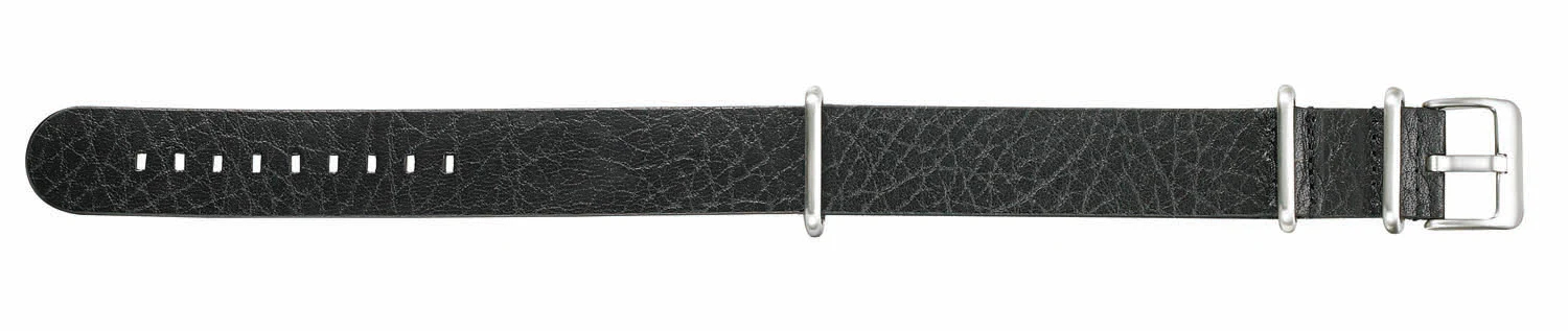 ALPINE Nato Style Leather Band 197